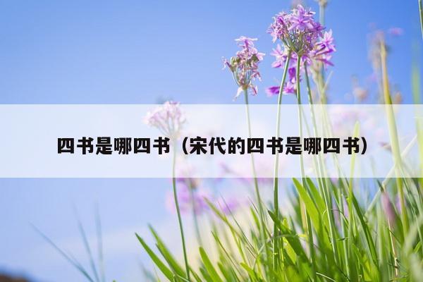 四书是哪四书（宋代的四书是哪四书）