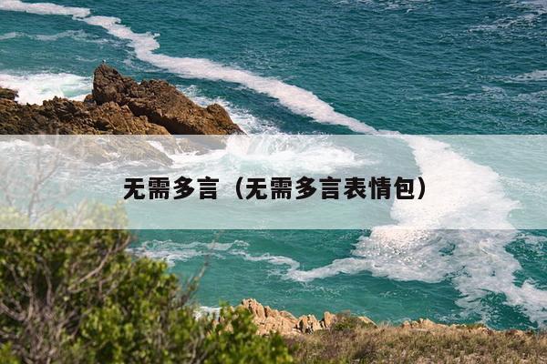 无需多言（无需多言表情包）