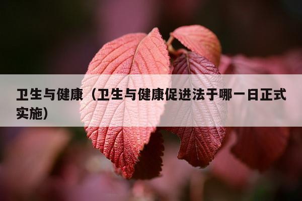 卫生与健康（卫生与健康促进法于哪一日正式实施）