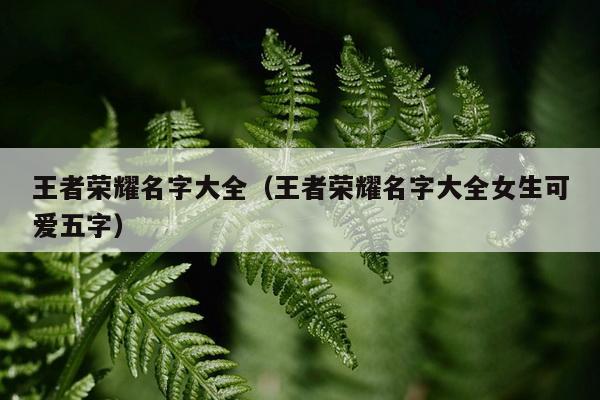 王者荣耀名字大全（王者荣耀名字大全女生可爱五字）