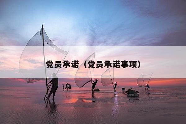 党员承诺（党员承诺事项）