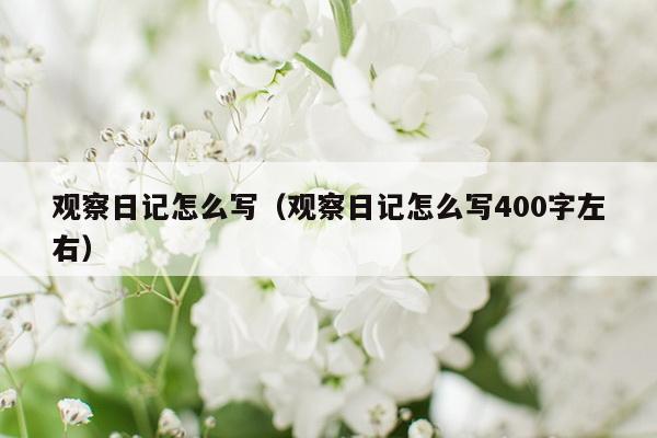 观察日记怎么写（观察日记怎么写400字左右）