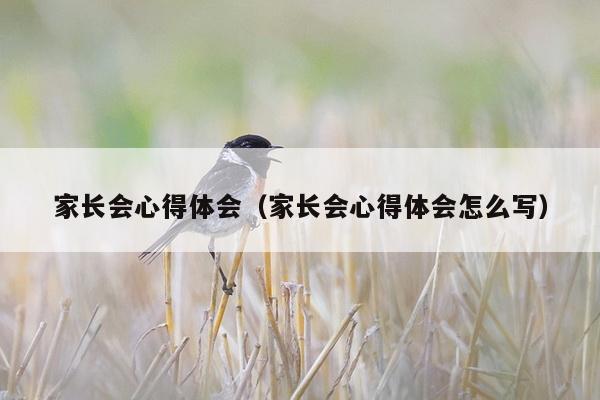 家长会心得体会（家长会心得体会怎么写）