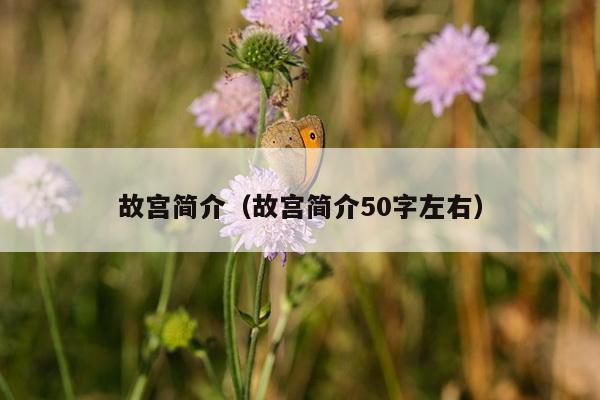 故宫简介（故宫简介50字左右）