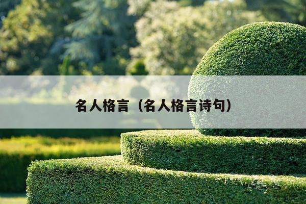 名人格言（名人格言诗句）