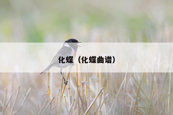 化蝶（化蝶曲谱）