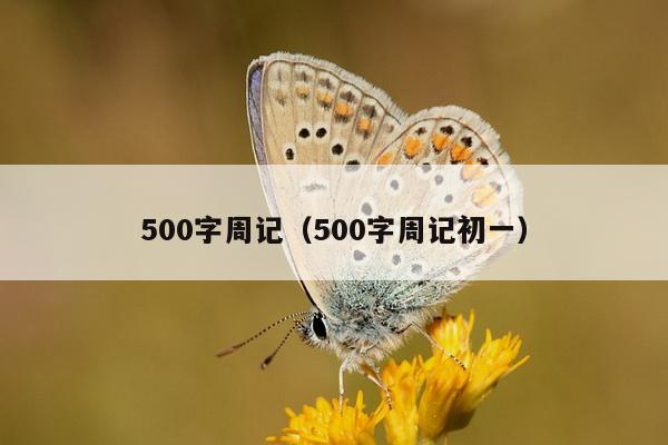 500字周记（500字周记初一）