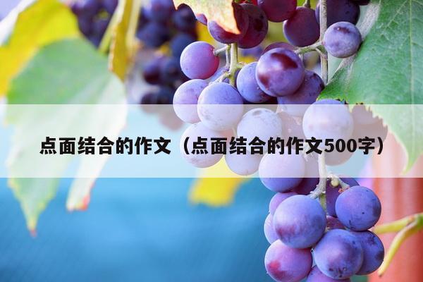 点面结合的作文（点面结合的作文500字）