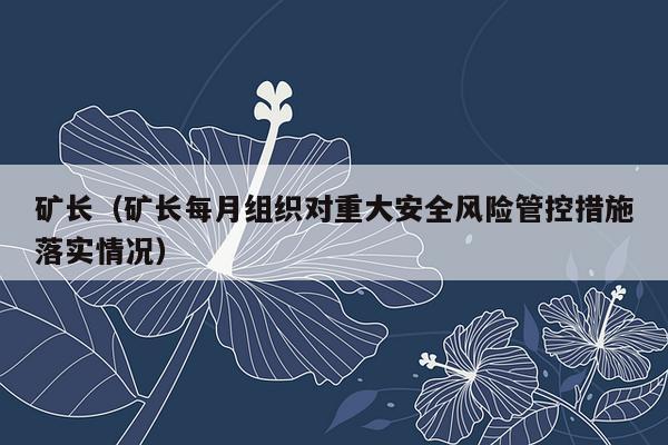 矿长（矿长每月组织对重大安全风险管控措施落实情况）