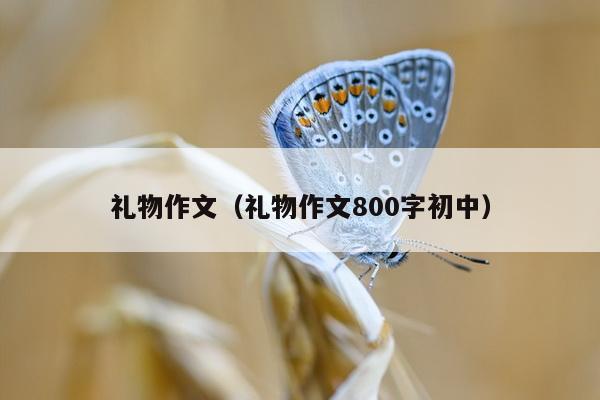 礼物作文（礼物作文800字初中）