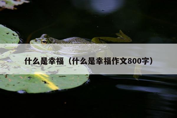 什么是幸福（什么是幸福作文800字）