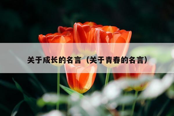 关于成长的名言（关于青春的名言）