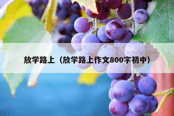 放学路上（放学路上作文800字初中）