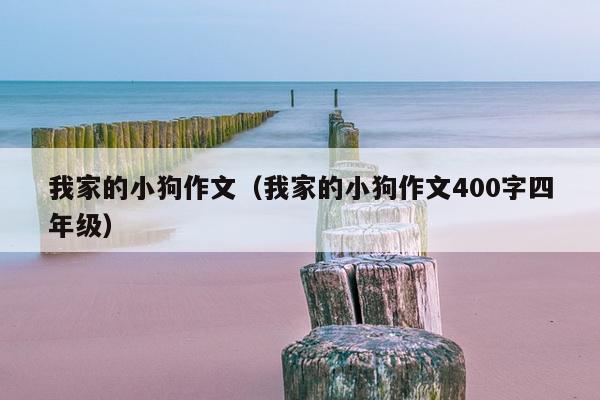 我家的小狗作文（我家的小狗作文400字四年级）