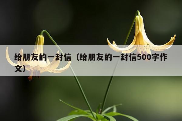 给朋友的一封信（给朋友的一封信500字作文）