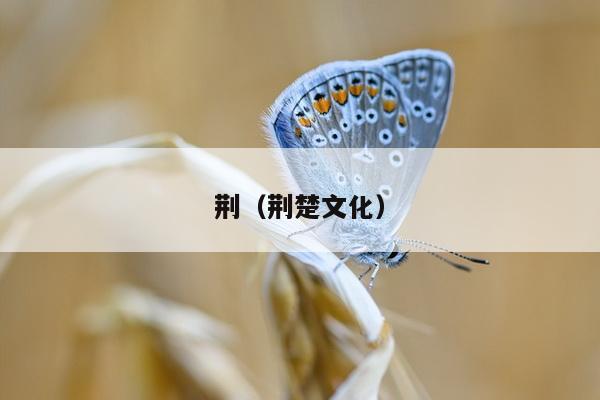 荆（荆楚文化）