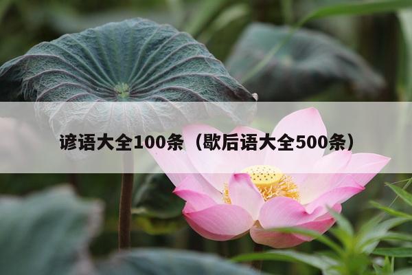 谚语大全100条（歇后语大全500条）