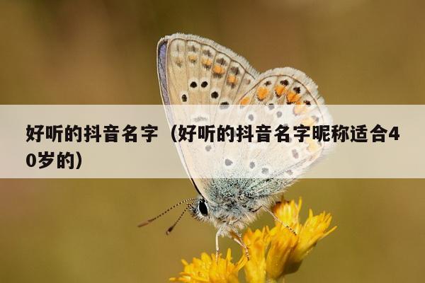 好听的抖音名字（好听的抖音名字昵称适合40岁的）