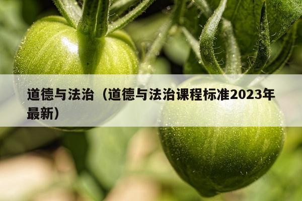 道德与法治（道德与法治课程标准2023年最新）