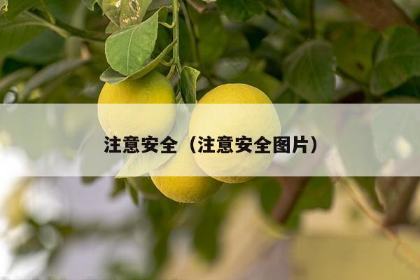 注意安全（注意安全图片）