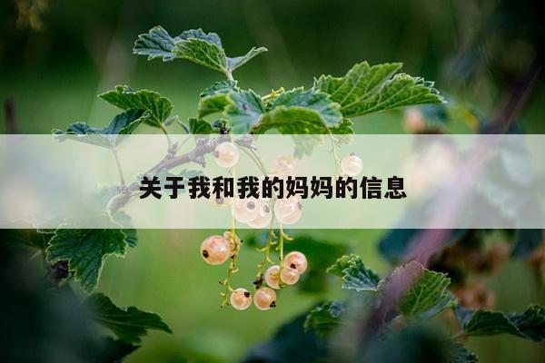 关于我和我的妈妈的信息