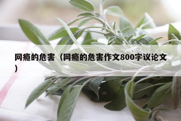 网瘾的危害（网瘾的危害作文800字议论文）