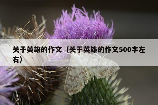 关于英雄的作文（关于英雄的作文500字左右）