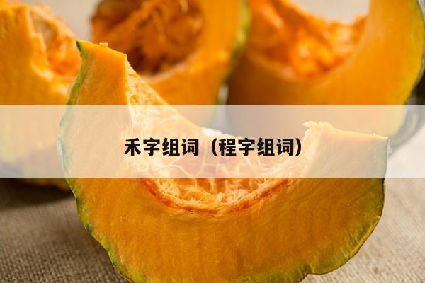 禾字组词（程字组词）