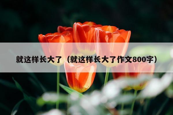 就这样长大了（就这样长大了作文800字）