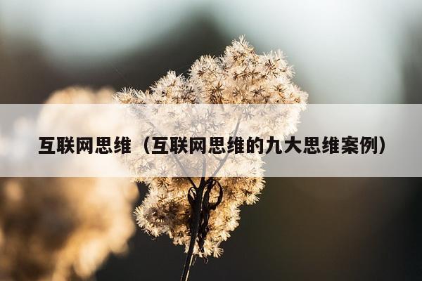 互联网思维（互联网思维的九大思维案例）