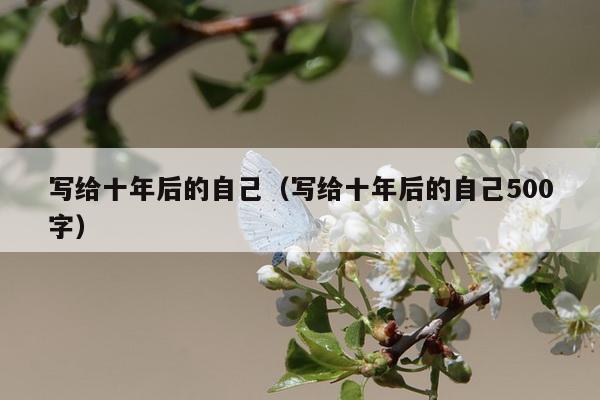 写给十年后的自己（写给十年后的自己500字）