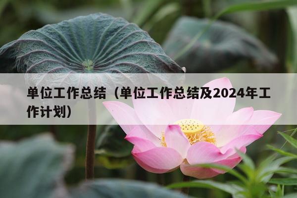 单位工作总结（单位工作总结及2024年工作计划）