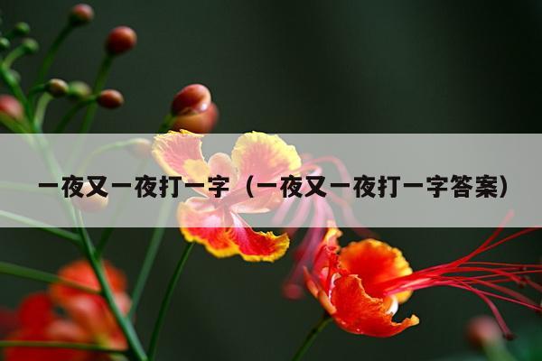 一夜又一夜打一字（一夜又一夜打一字答案）