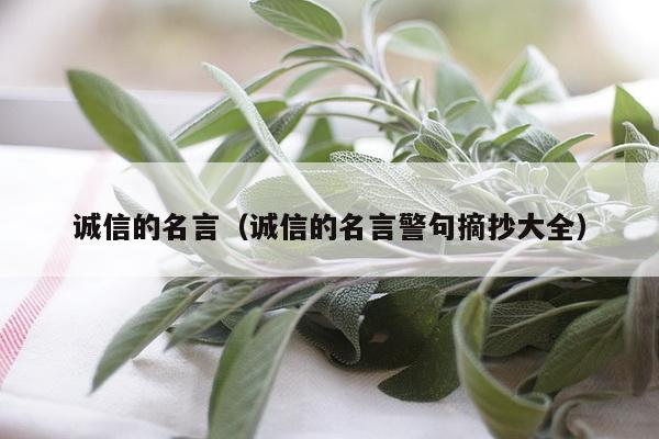 诚信的名言（诚信的名言警句摘抄大全）