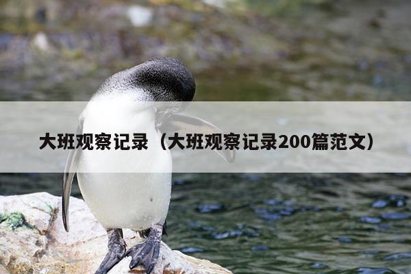 大班观察记录（大班观察记录200篇范文）