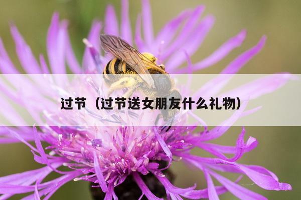 过节（过节送女朋友什么礼物）