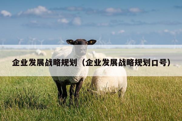 企业发展战略规划（企业发展战略规划口号）