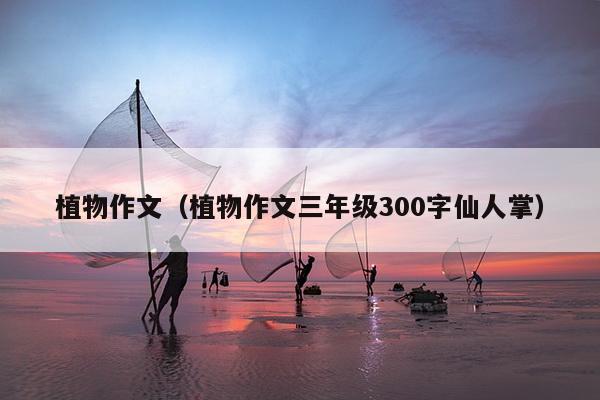 植物作文（植物作文三年级300字仙人掌）