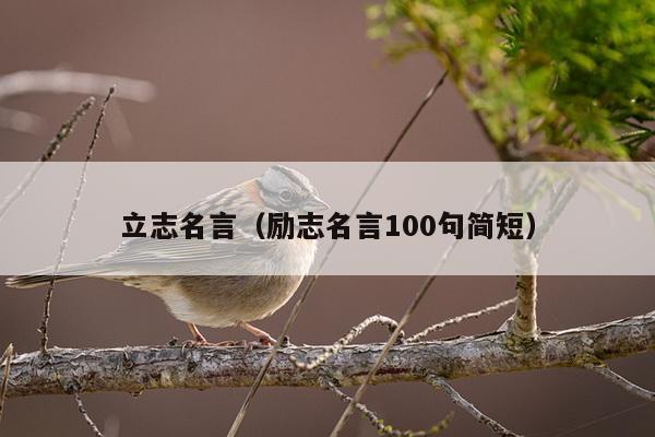 立志名言（励志名言100句简短）