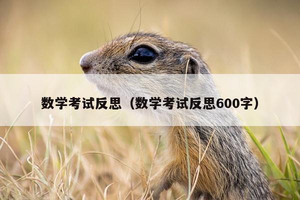 数学考试反思（数学考试反思600字）