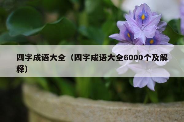 四字成语大全（四字成语大全6000个及解释）