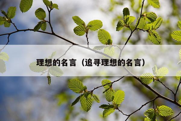 理想的名言（追寻理想的名言）