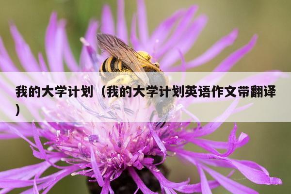 我的大学计划（我的大学计划英语作文带翻译）