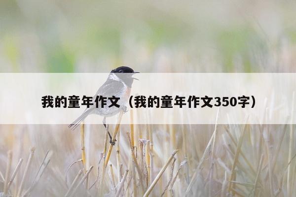 我的童年作文（我的童年作文350字）