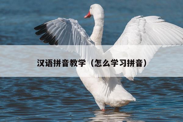 汉语拼音教学（怎么学习拼音）